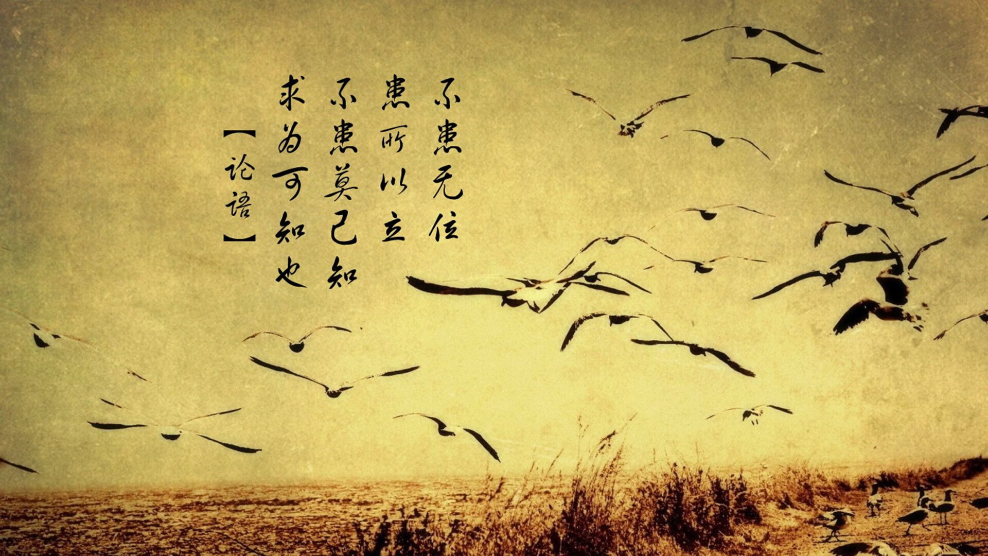 当三狮军团启动时间魔法,英格兰用慢炖哲学熬制非洲雄狮的唯一性胜利