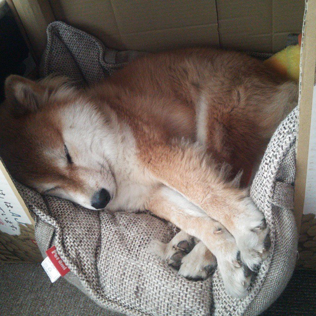 经济雪崩，当布雷默风暴席卷南美，委内瑞拉的潮水如何冲垮哥伦比亚堤坝