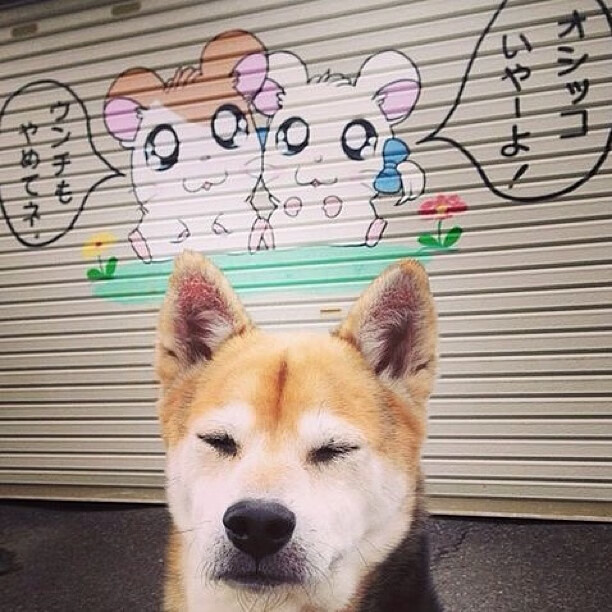 东决关键战之夜，一场只属于克莱·汤普森的非典型救赎