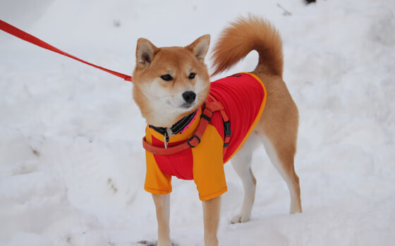 决赛基因，从卡瓦哈尔的今天，倒序上演贝尔的昨天，与切尔西的明天