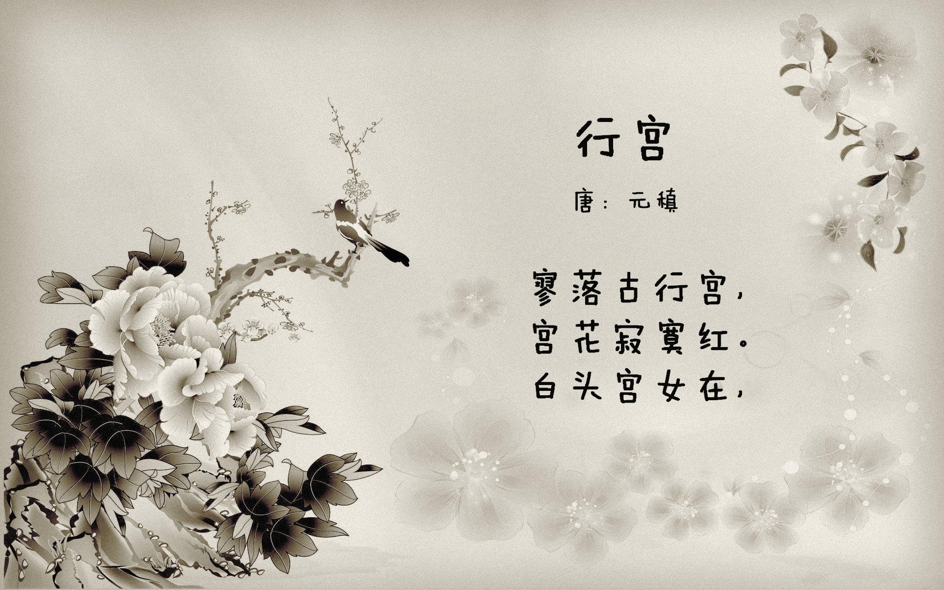深圳队隔空终结悬念?森林狼的关键先生竟是班凯罗