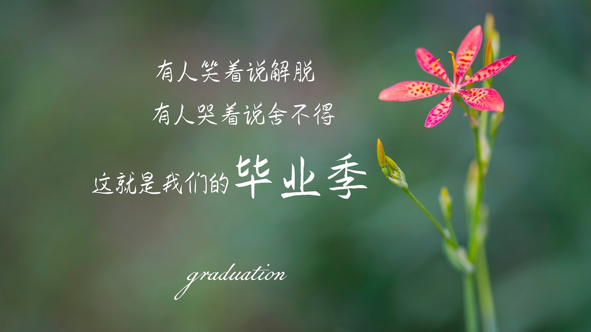 草根铁血打穿金元战舰,苏亚雷斯两剑封喉,定义欧联杯史上最颠覆一夜