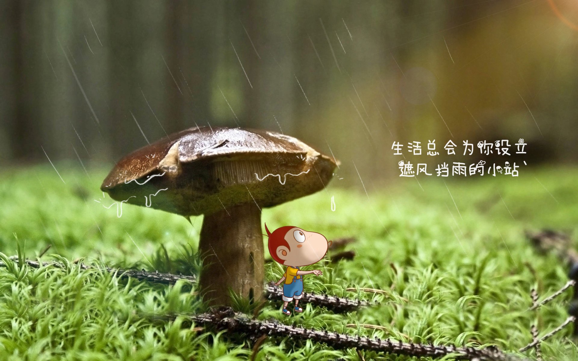 平行宇宙的篮球对决,莫兰特狂砍50分带领奇才加时绝杀浙江队