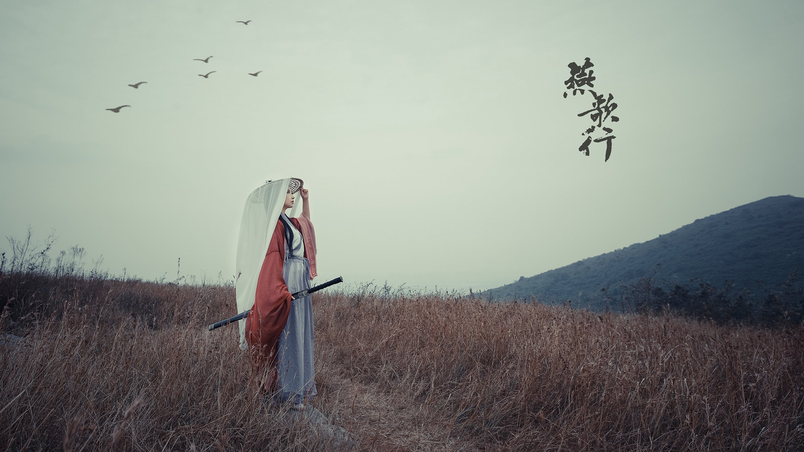 大航海时代的暗流,2026世界杯D组,B费如何用一脚直塞,刺穿日本足球的秩序之盾