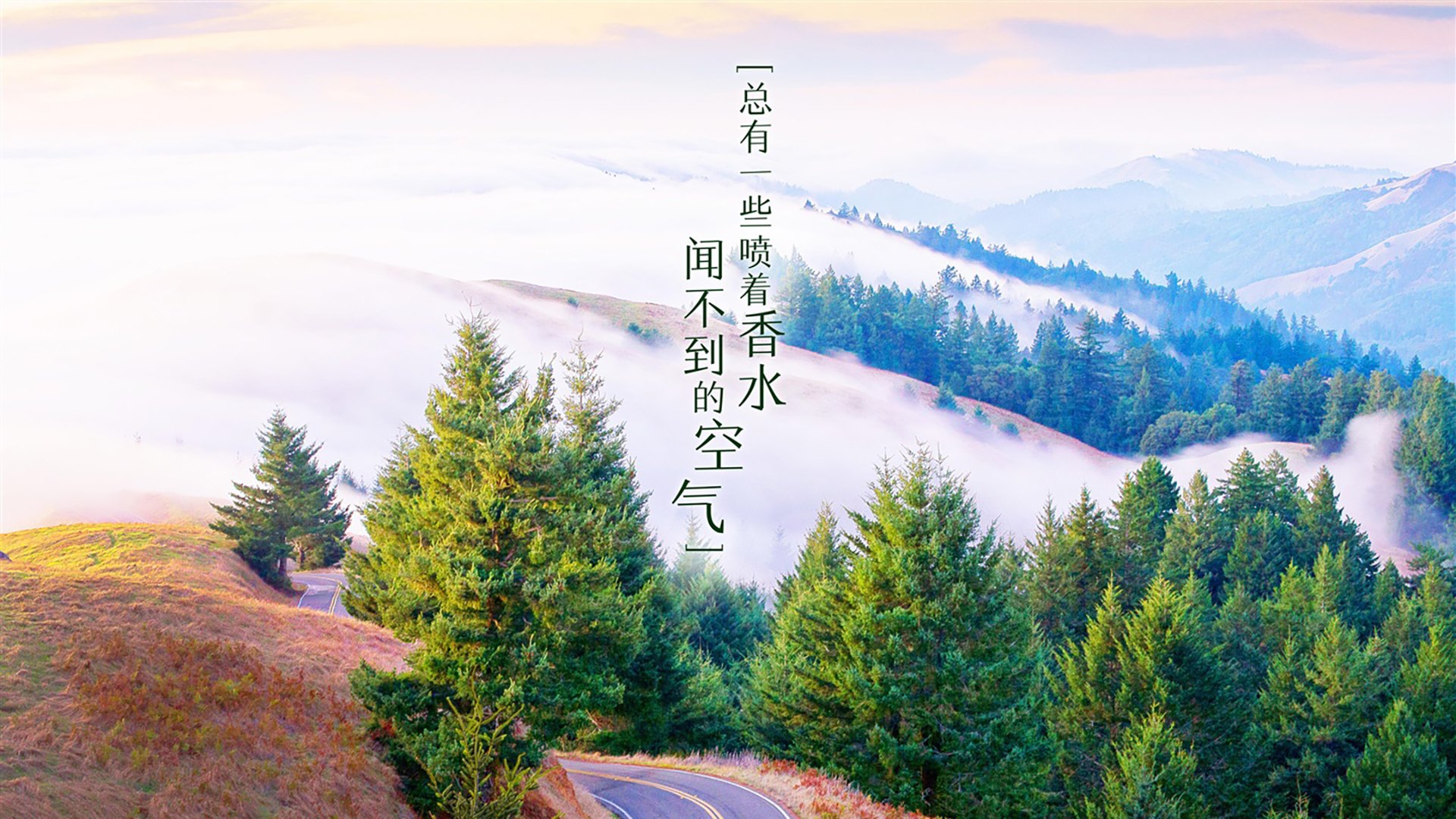 2026，沙漠与湄公河之间，一场由楚庄王定义的唯一性战役
